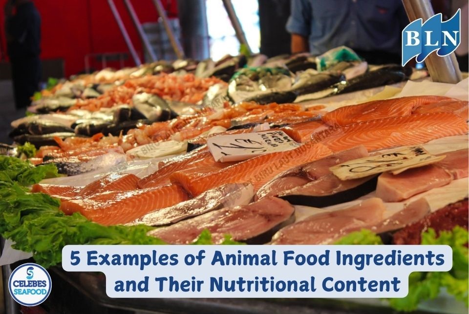 5 Examples of Animal Food Ingredients and Their Nutritional Content